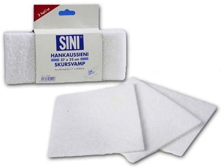 SINI HANK.SIENI LAUDEPESURIIKPL*20180829