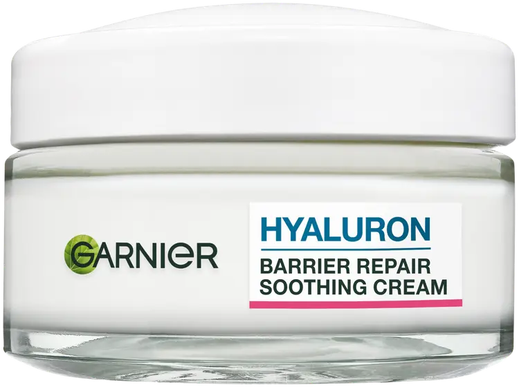 Garnier SkinActive Hyaluron päivävoide kuivalle iholle 50 ml