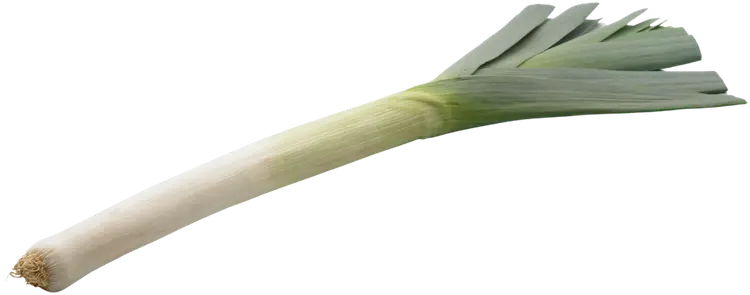 Purjo luomu