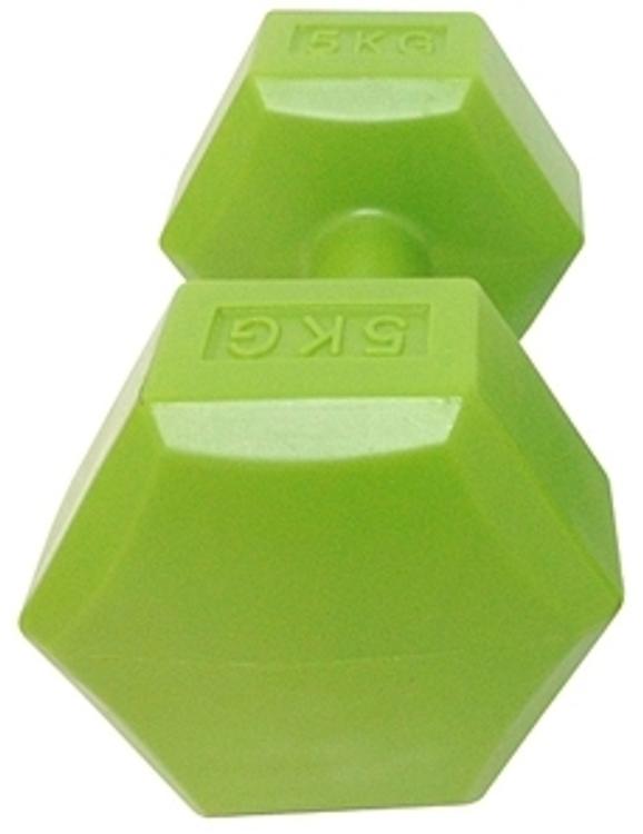 Vinüülhantlid 5 kg 2tk