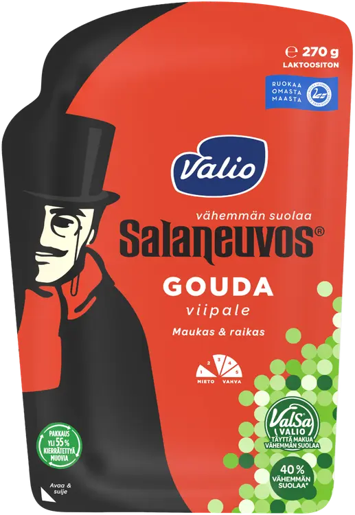 Valio Salaneuvos® e270 g viipale ValSa®