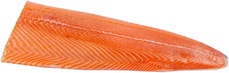 Lohifilee D-leikkuu ASC Premium