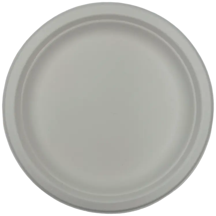 Lautanen 22,5cm 10kpl sokeriruoko valk. Bio