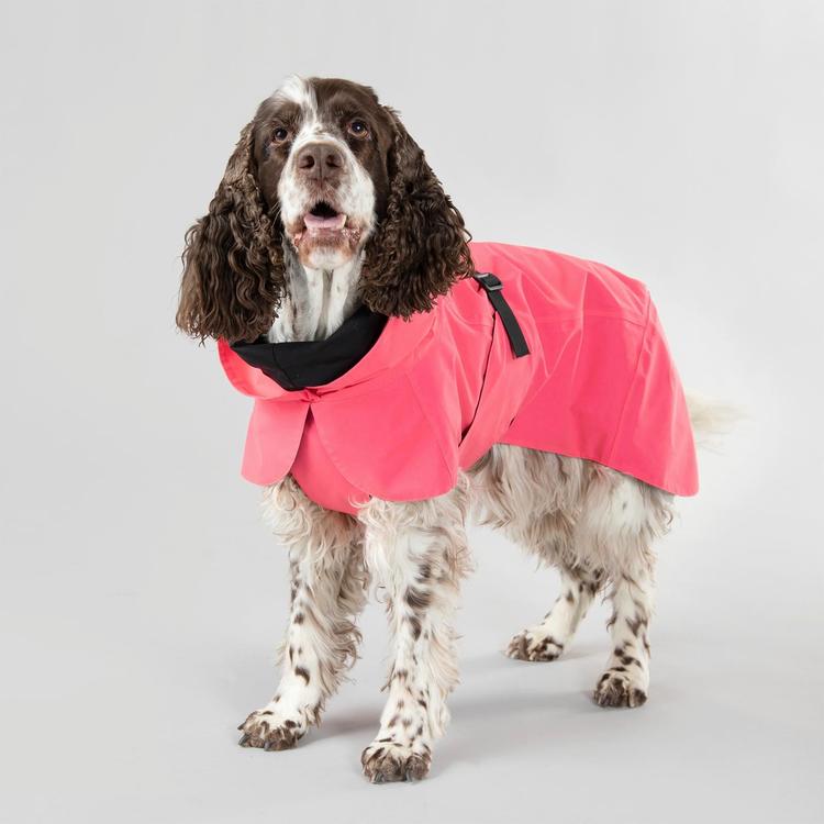 PAIKKA Visibility koiran jokasään takki Lite hot pink 70