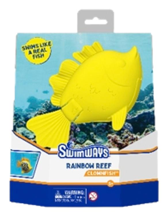 Rainbow Reef Fish