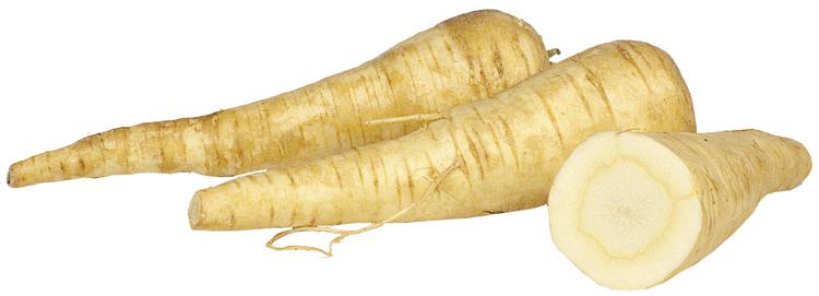 PALSTERNAKKA PAKATTU