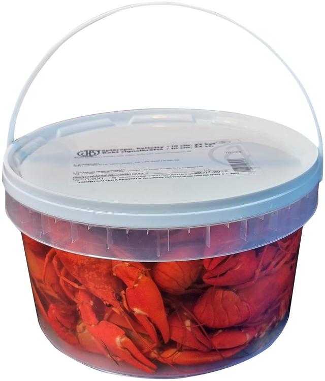 Täplärapu keitetty 11cm 10 kpl