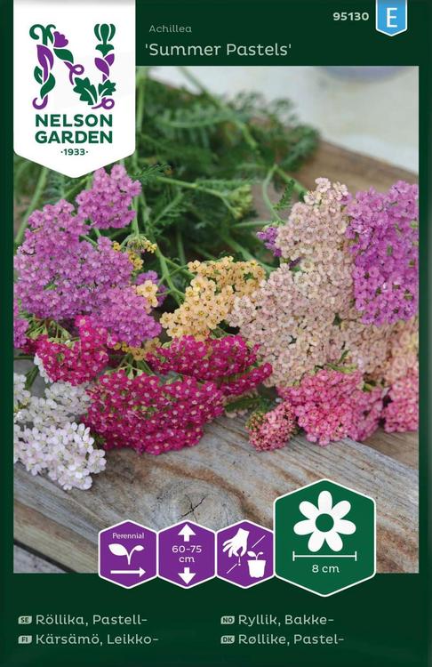 95130 achillea summer pastels