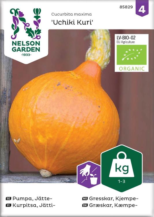 Nelson Garden Siemen Kurpitsa, Jätti-, Uchiki Kuri, luomu
