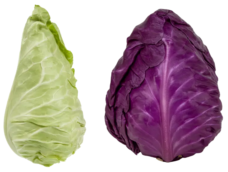 Suippokaali