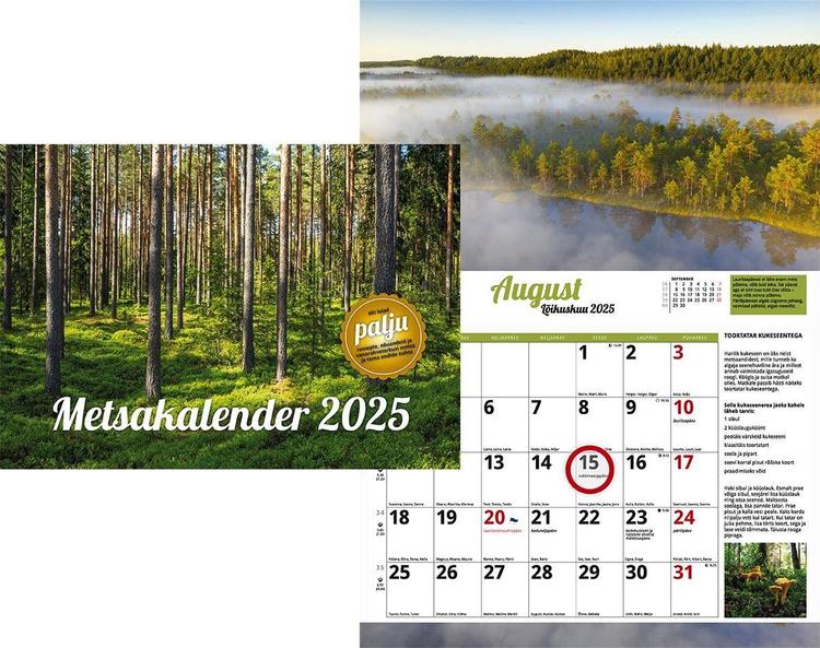 Seinakalender metsakalender,  297 x 42