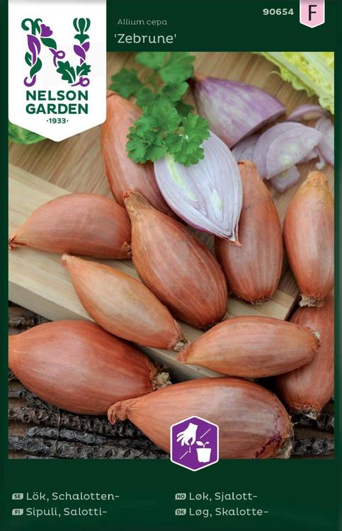 Nelson Garden Siemen Sipuli, Salotti-, Zebrune, pitkä