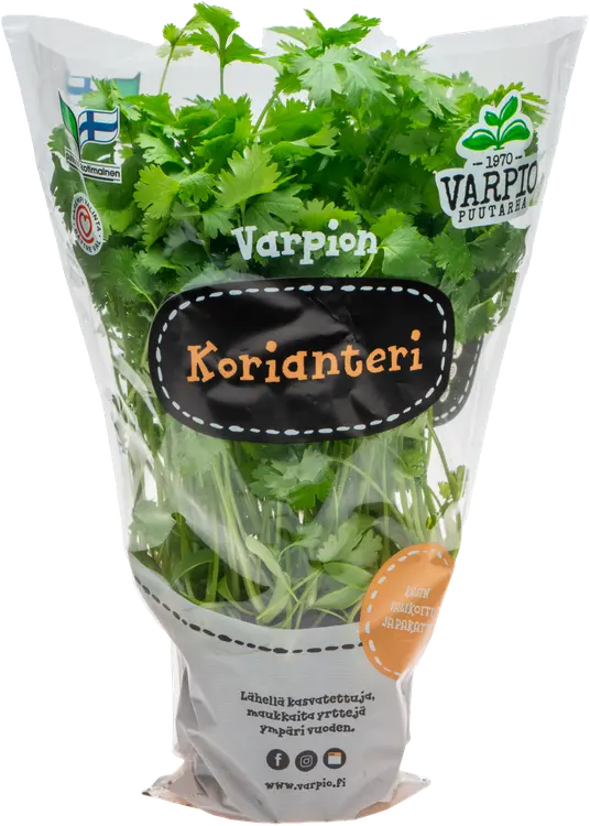 Varpio Korianteri