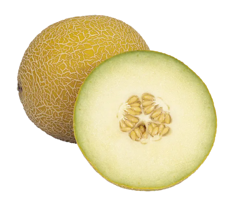 Galiameloni