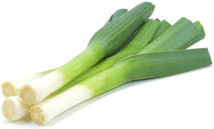 Purjo