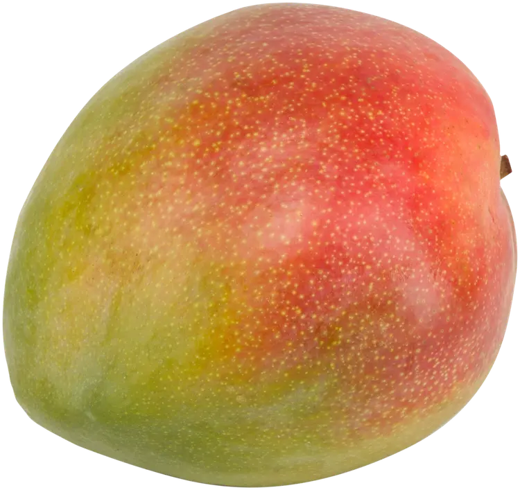 Mango keitt/kent/osteen