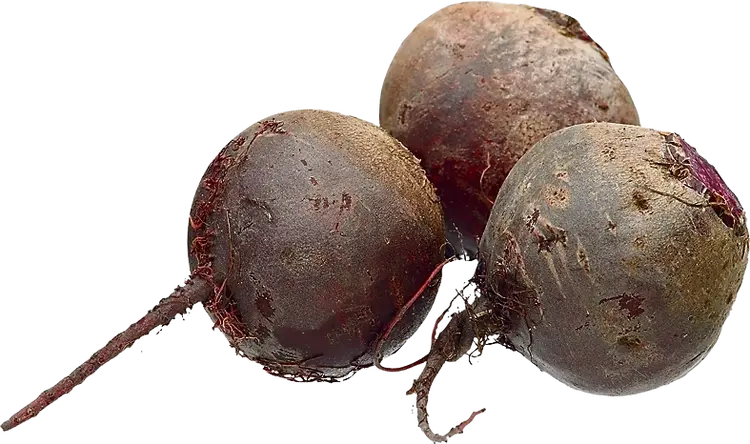 Punajuuri irto