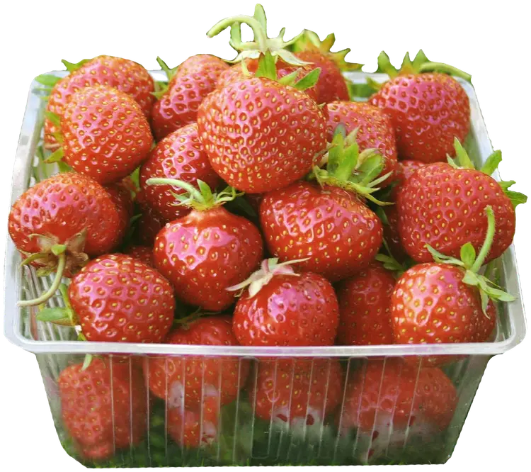 Wennborgin Tila Mansikka 500 g
