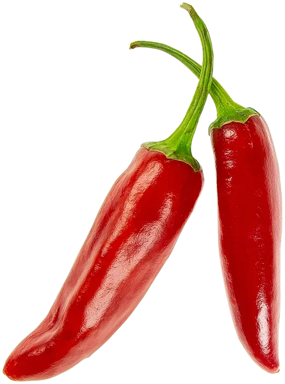 Chili Rawit tulinen 7
