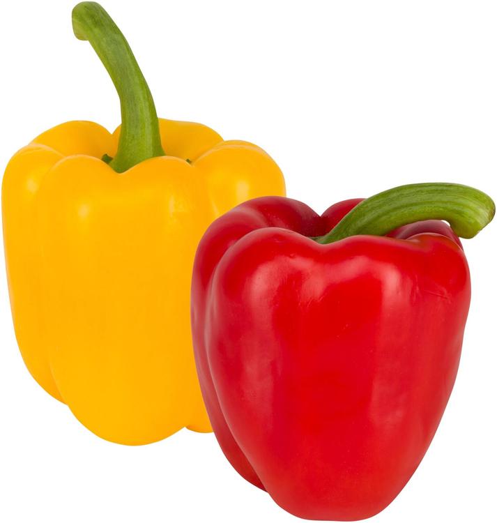 PAPRIKA PUN/KELT