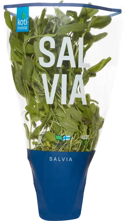 Kotimaista salvia