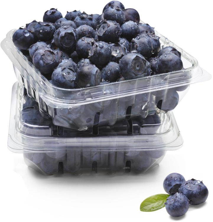 Pensasmustikka 500g