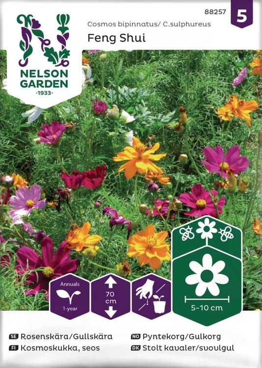 Nelson Garden Siemen Kosmoskukka, seos, Feng Shui