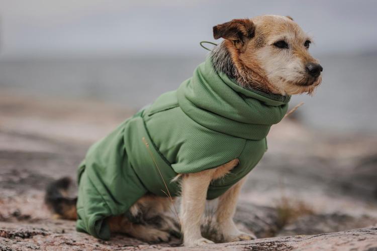 PAIKKA Drying Coat 2Go koiran kylpytakki olive 35
