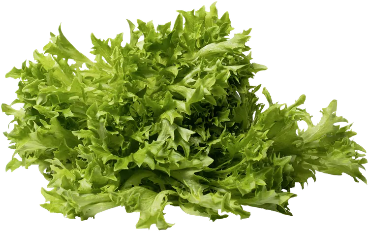 Makea friseesalaatti 100g Suomi