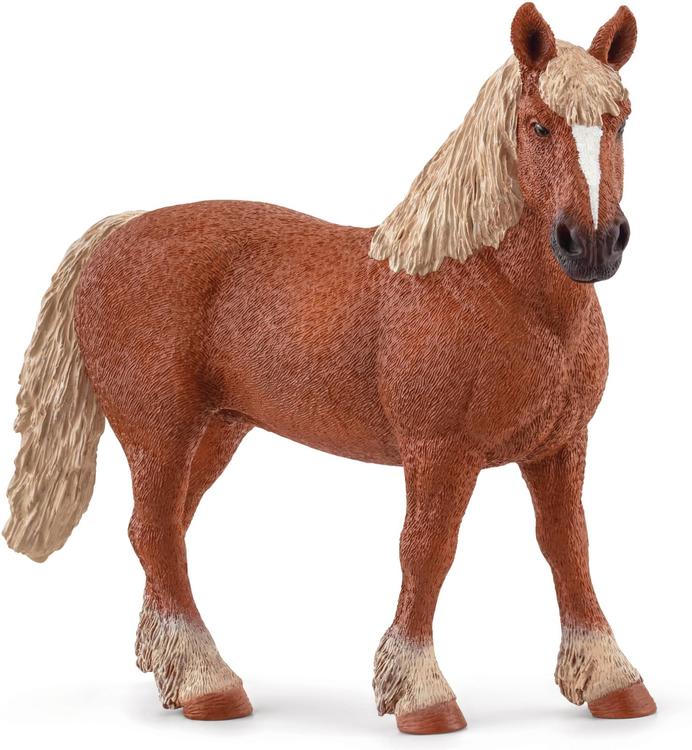 BELGIA VEOHOBUNE