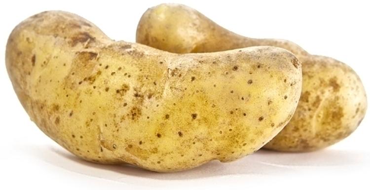 Peruna Puikula