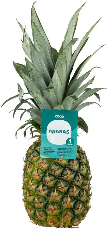 Coop ananas