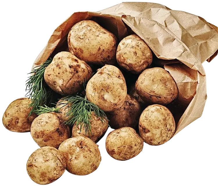 Kesäperuna multa Suomi