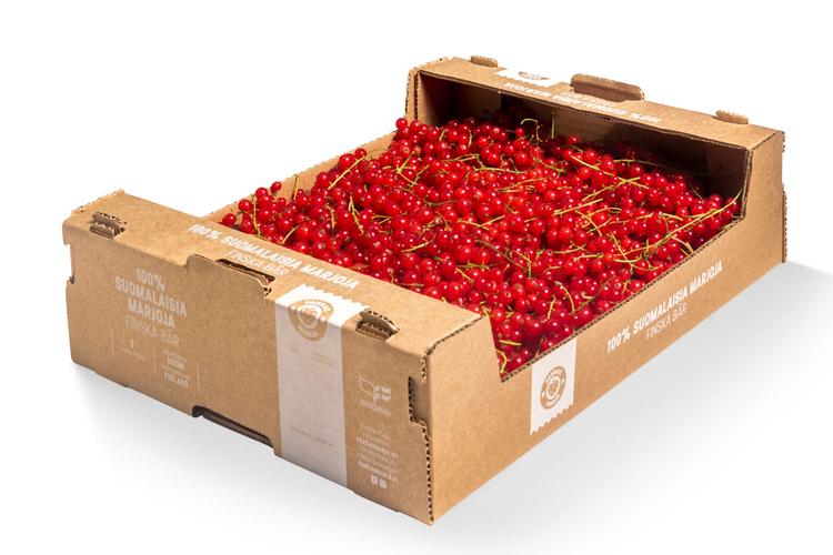 Pakkasmarja 3kg suomalainen tuorepunaherukka- käsin kerätty