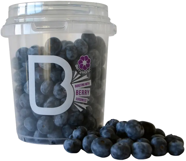 Pensasmustikka 500 g