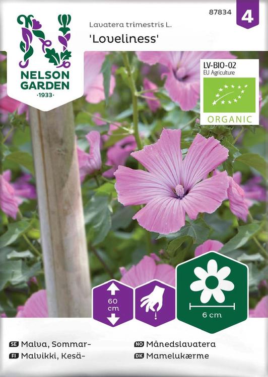 Nelson Garden Siemen Malvikki, Kesä-, Loveliness, luomu