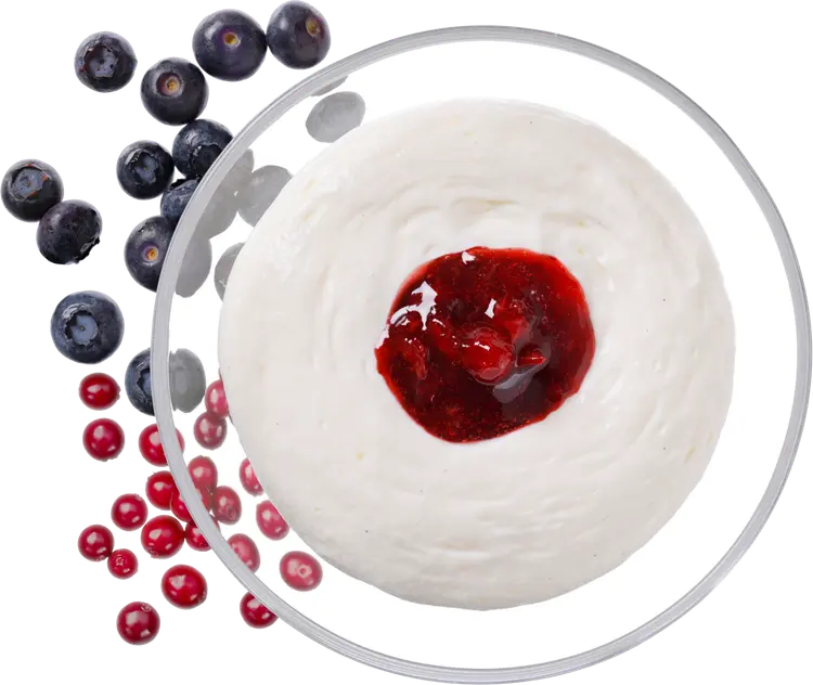 Fresh SalaattiMestari Vanilja-marjakimara pursotin 1,4kg GN1/2