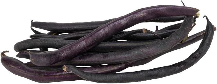 Rannikon Puutarhan pensaspapu violetti Halikon jokilaaksosta n. 100 g