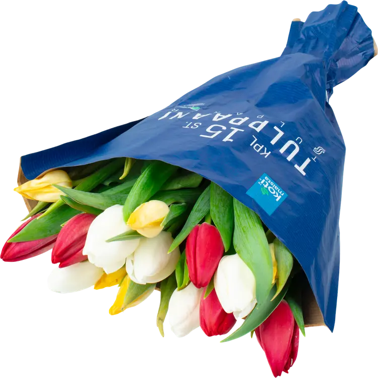 Kotimaista tulppaani 15 kpl, monivärikimppu, lajitelma, paperikääre