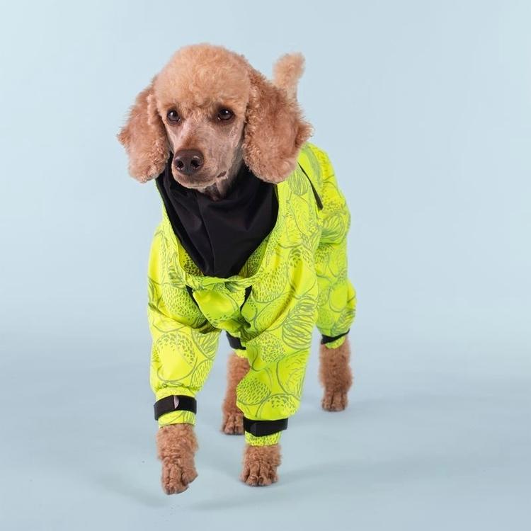 PAIKKA Rain Suit koiran sadehaalari neon 65