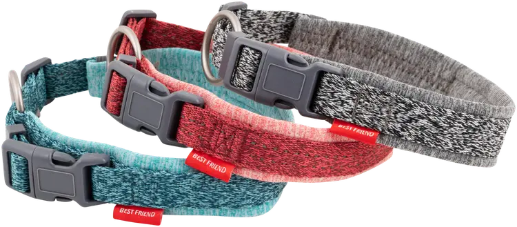 Best Friend Daily Walker koiran panta S, 25-35 cm, värilajitelma
