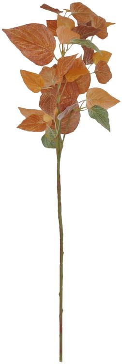 Syysoksa peippi 75cm