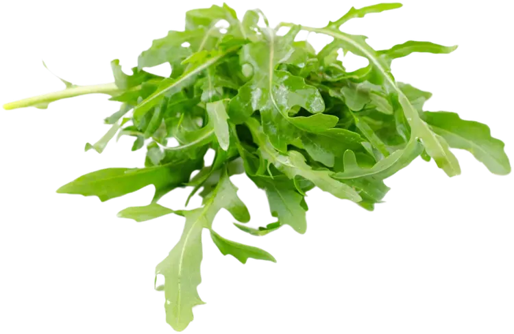 Fino Fresco Rucola