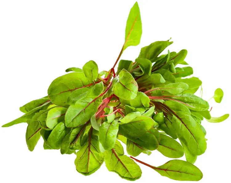 Punamangoldi luomu 50 g