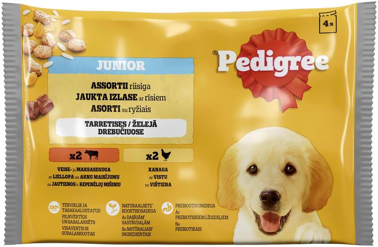 Koeraeine PEDIGREE Junior 4-pakk kutsikatele, 4x100 g