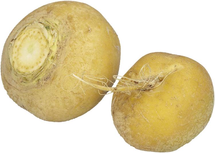 LUOMU NAURIS