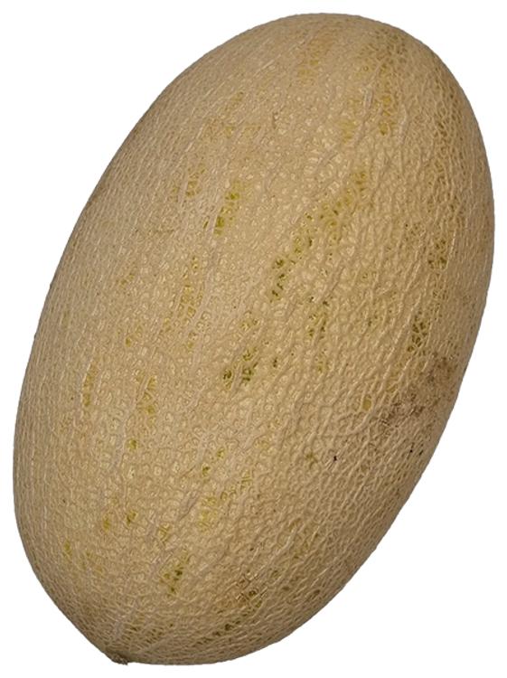 Melon roheline Kesk-Aasia
