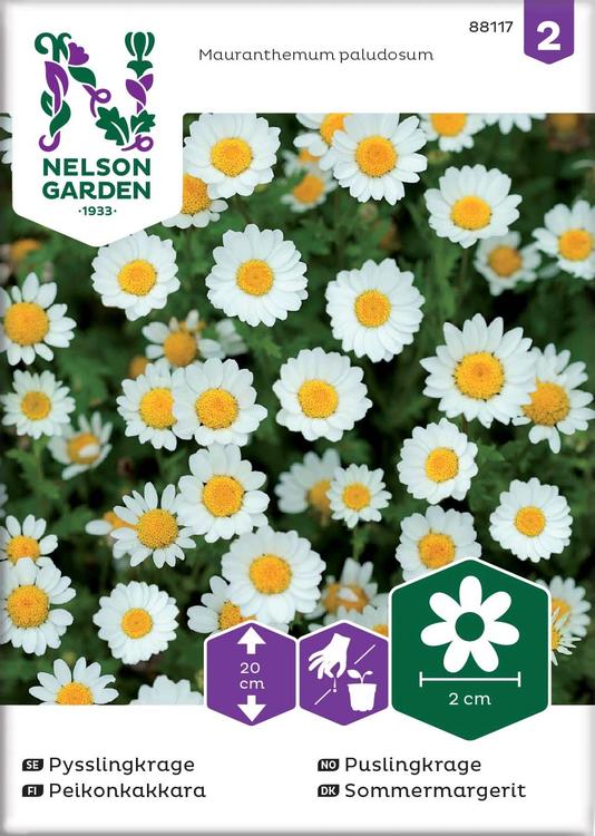 Nelson Garden Siemen Peikonkakkara