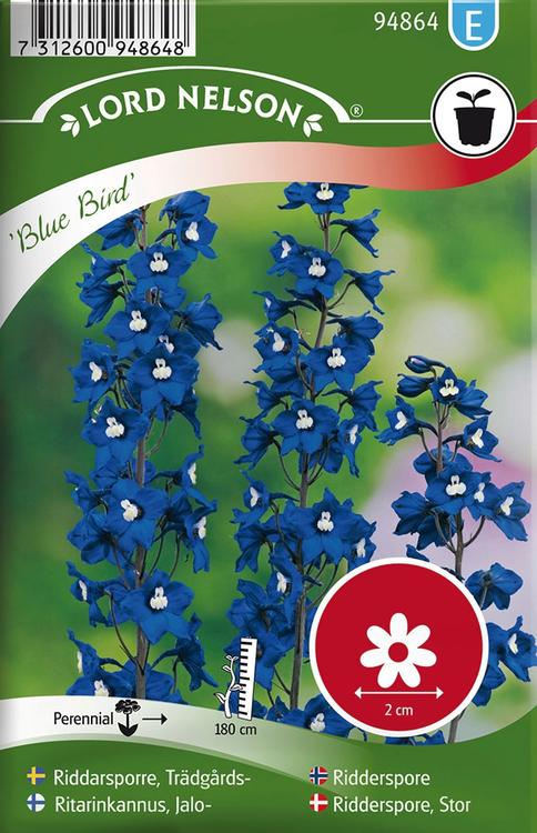 94864 delphinium blue bird