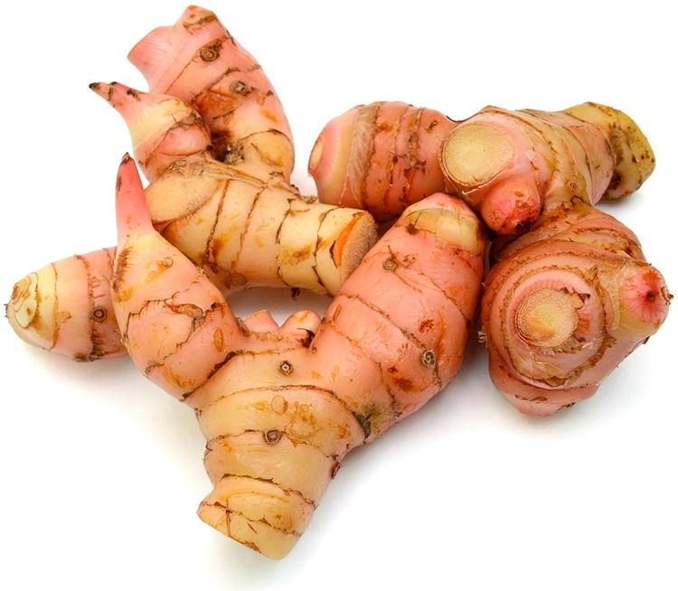 Galangajuuri
